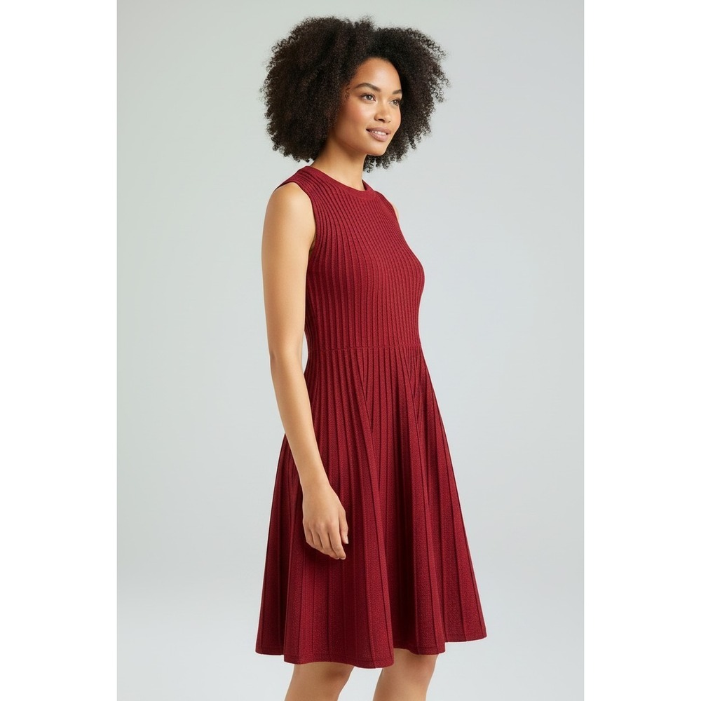 Scoop Womens Sweater Dress Size L Rumba Red Metallic Knit Fit Flare Sleeveless